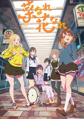 网站优化常见的问题